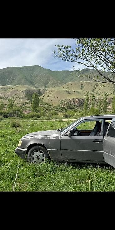 peugeot 406: Mercedes-Benz W124: 1991 г., Универсал — 3