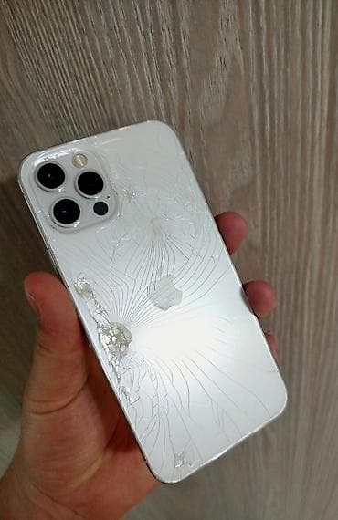 IPhone 12 Pro, Колдонулган, 128 ГБ, White Titanium, Заряддоочу түзүлүш, 73 %