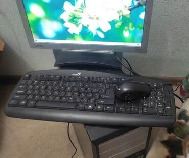 компьютерные мыши logicfox: Компьютер, ядролор - 4, ОЭТ 4 ГБ, Татаал эмес тапшырмалар үчүн, Колдонулган — 2