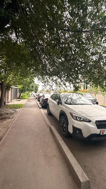 алматинка: 2 соток, Красная книга, Тех паспорт — 2