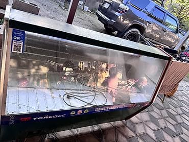 Холодильное оборудование: Для мяса, мясных изделий — 1