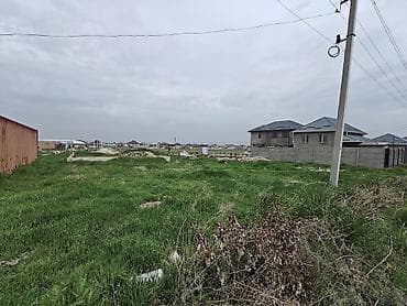 Жер тилкелери: 4 соток, Курулуш, Кызыл китеп — 3