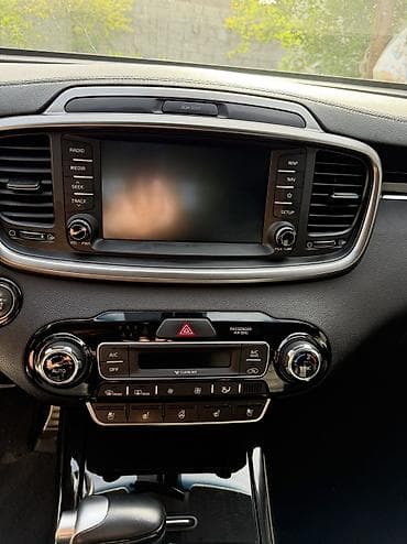 ef m: Kia Sorento: 2019 г., 2 л, Автомат, Дизель, Кроссовер — 10