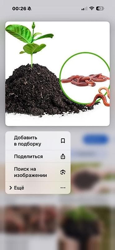 Дрова: Удобрение Гумус, Самовывоз — 1