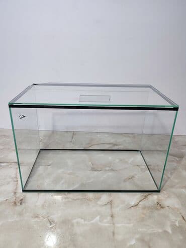 аквариумная рыбка: Прямоугольные — 10