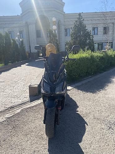 zimmer e9 pro: Скутер WANGTA Ding 50 (125) — городской скутер с агрессивным дизайном — 1