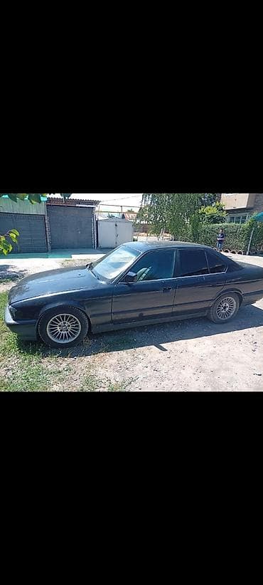 краска авто: BMW 5 series: 1995 г., Седан — 1