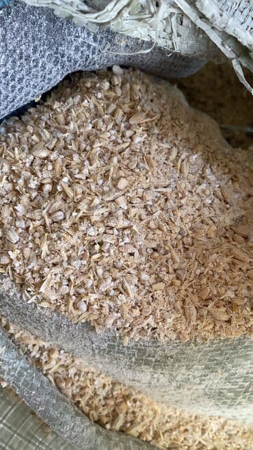 дом попугая: Продаю арпа жем ячмень дроблённый в мешках отруби кебек с погруской и — 6