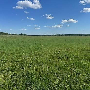 лининг зима обувь: Классическая сумка, США, Материал: Искусственная кожа, Застежка на молнии, Мужские, Новый — 3