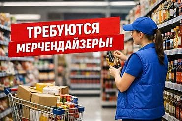полевые работы: Требуется Мерчендайзер, График: Сменный график, Неполный рабочий день, Форма — 1