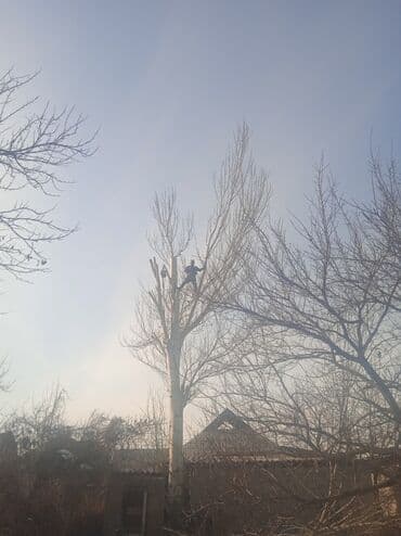 лазерная эпиляция цены: Терек биик коркунучту кыявыс Бекер кыип кетевис Бишкек чуй областях — 4