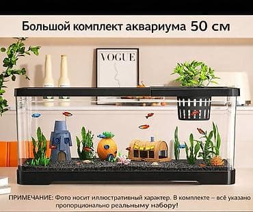 животные птицы: Аквариум террариум 🐢 Стильный террариум/акватеррариум для черепах и — 4