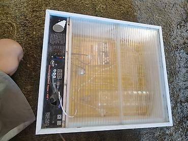 Оборудование для производства: Бытовой инкубатор «Норма = МИР» - Электронная панель управления с — 5