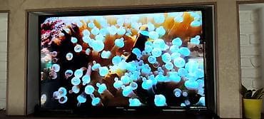 web camera: Телевизор — 1