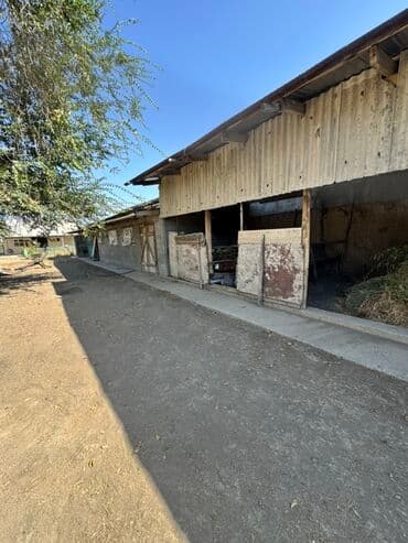 продажа домов в рассрочку с новопокровка: Үй, 39 кв. м, 3 бөлмө — 12