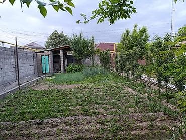 месароша: 6 соток, Для строительства, Красная книга, Тех паспорт — 3