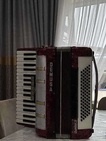 американские музыкальные инструменты: Аккордеон DEMUSA Junior II - Тип: клавишный аккордеон — 2