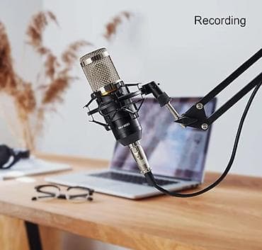 звуковые карты esi: Профессиональный конденсаторный микрофон ZINGYOU — Твой шаг к — 8