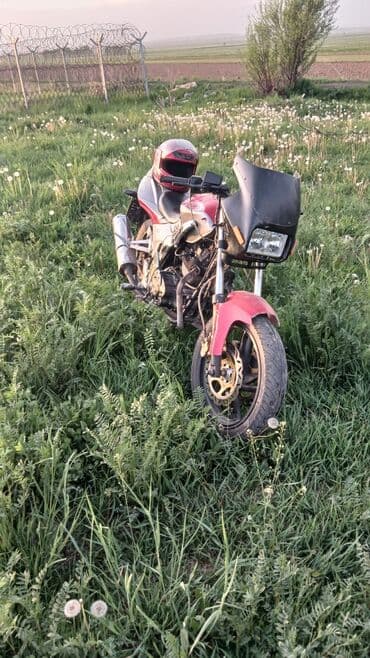 мото мапет: Классикалык 250 куб. см, Бензин, Чоңдор үчүн, Колдонулган — 5