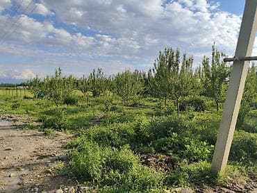 хочу продать: 100 соток, Для бизнеса, Договор купли-продажи — 8