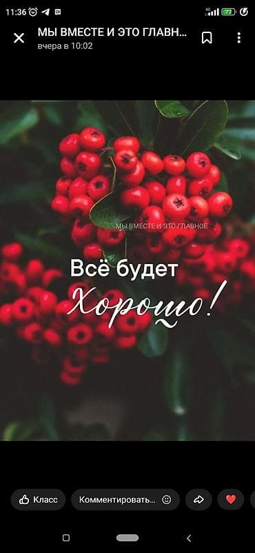 LED гирляндалар: Ищу работу технички. Опыт есть.желательно график утром или — 1