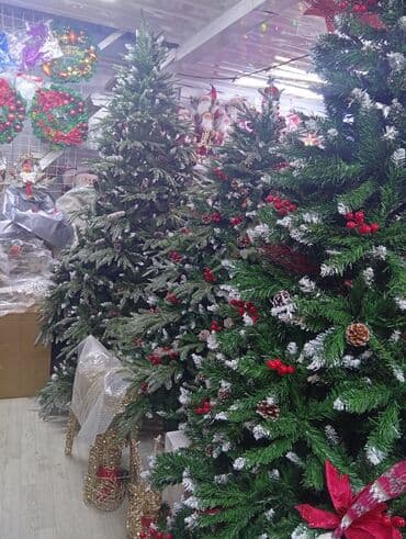 растения в аквариум купить: Все виды новогодних ёлок. от 0.6 до 4 метров. Украсит ваш дом — 8