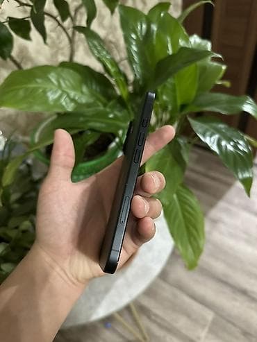 apple pro: IPhone 16, Б/у, 256 ГБ, Черный, Зарядное устройство, Защитное стекло, Чехол, 100 % — 7