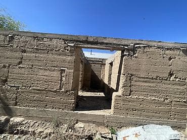 пакет одежды: Плодовый сад/участок с плодовыми деревьями. - Ухоженные ряды — 7