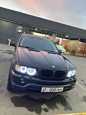BMW X5: 2004 г., 3 л, Автомат, Бензин, Кроссовер