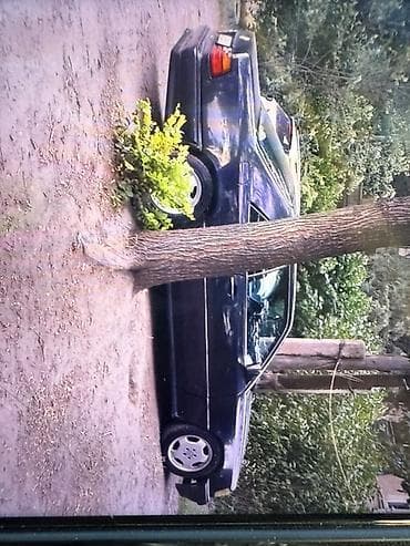 авто толщиномер: Mercedes-Benz W124: 1991 г., 2.3 л, Автомат, Бензин, Купе — 4