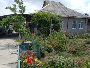 продажа домов в токмаке: Дом, 60 м², 4 комнаты, Собственник, Косметический ремонт — 1