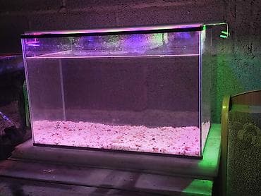 кони: Аквариум 50л размеры 50х34х30, в комплекте отдам грунт, так же за — 1