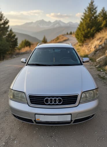 набор ключей профессиональный: Audi A6: 1999 г., 2.5 л, Автомат, Дизель, Универсал — 1