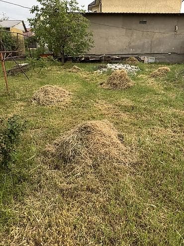 отун жаргыч: Сено/скошенная трава навалом. Кимге чоп керек алып кетсенер — 1