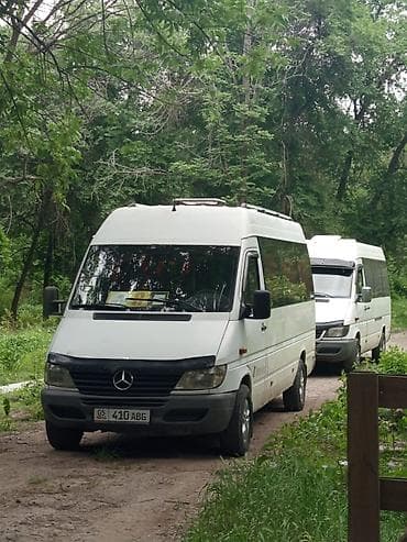 шоу программы бишкек: Пункт назначения: Бостери, Количество мест: 18, Лицензия №: 6492764 — 1