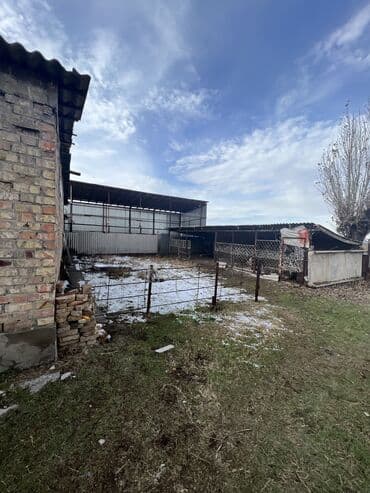 дом совхоз фрунзе: Сдаю Конюшню в перспективном районе для содержания лошадей и быков — 13