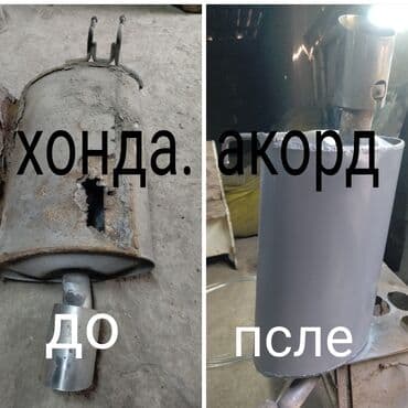 купить белую кошку: Кошка даром: Беспородная, 2 месяца, Девочка, Приучена к лотку — 8