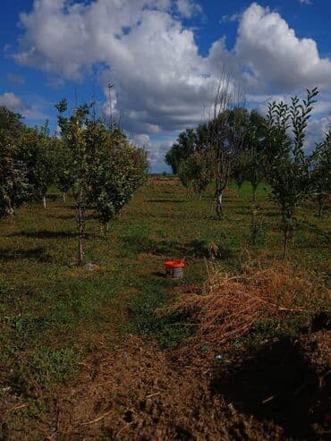 дом новопавловке: Дом, 120 м², 5 комнат, Собственник, Евроремонт — 3