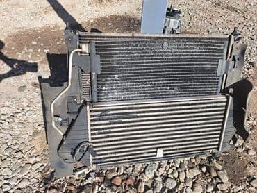 животные на р: Мерседес радиатор мл 163 кузов вентилятор охлаждения мл 163 основной — 2