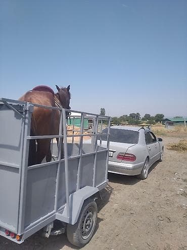 дрифт карт бишкек: Прицеп, Новый — 7