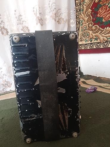 гитаа: Баян кнопочный, классическая двухрядная модель с правой и левой — 4