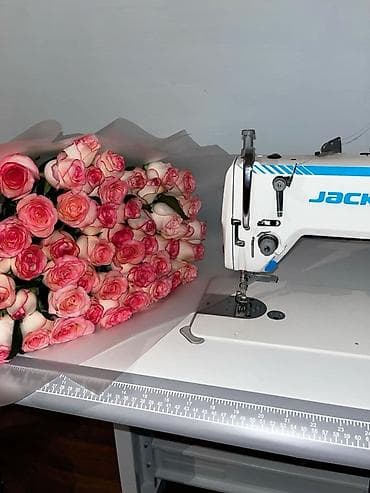 Тигүү иши: Jack — 1