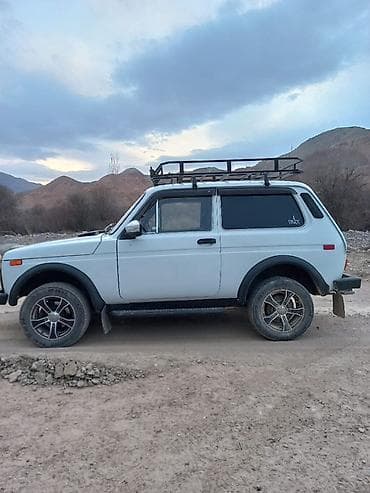 бензиновая лампа: ВАЗ (ЛАДА) 4x4 Нива: 1993 г., 1.6 л, Механика, Бензин, Внедорожник — 7