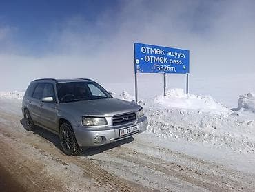 subaru impreza wrx цена: Subaru Forester: 2004 г., 1.9 л, Автомат, Газ, Кроссовер — 2