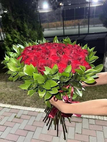 цикломен цветы: Ноп новый 😍🥹 — 2