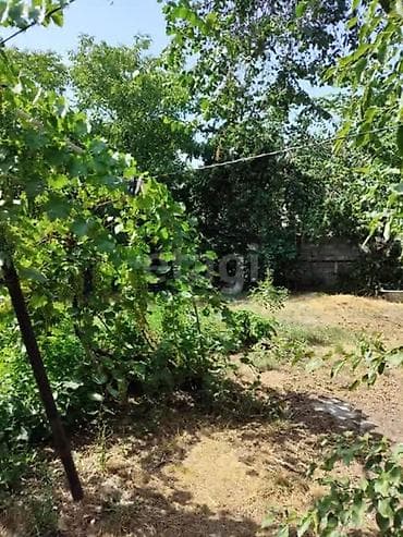 айни чапаева: 4 соток — 5