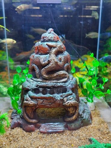 аквариумная рыбка: Аквариум с декорациями объём 15 л — 3