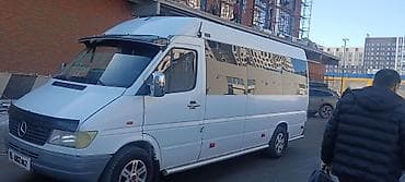 erl group: Бус на заказ — 2