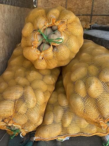 Лук: Картошка — 1