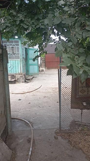 Дома: Продаётся жилой дом с участком. - Одноэтажный дом с двускатной — 6